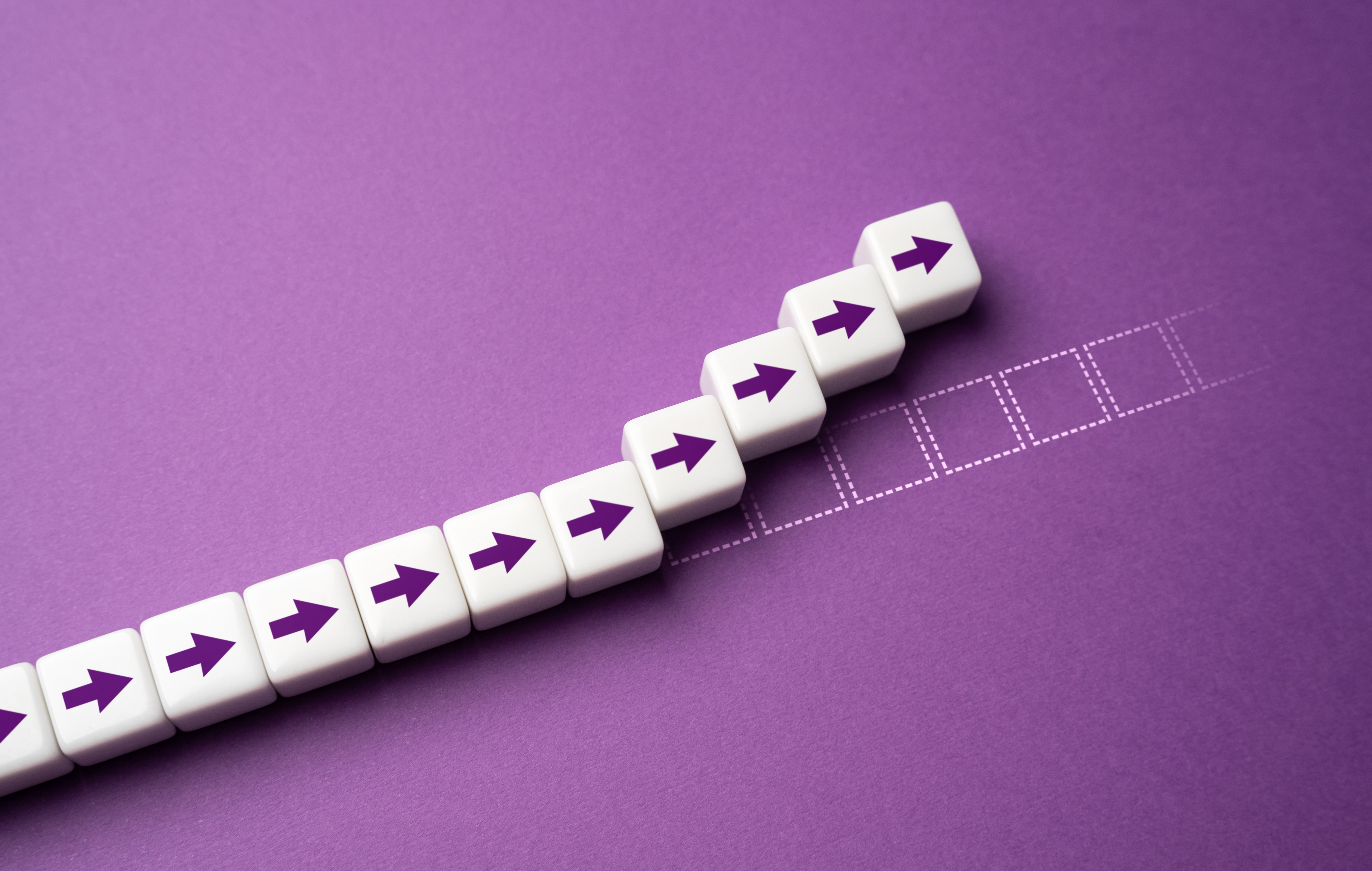 Harnessing Feedback for Continuous Improvement in Business Operations